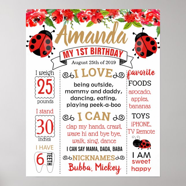 Póster Junta de la fiesta de cumpleaños de Ladybug Lady b (Frente)
