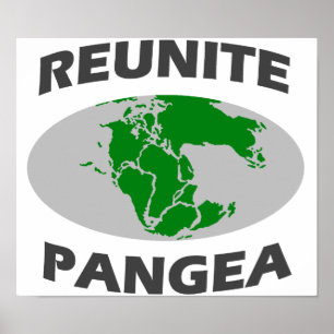 Póster Júntese Pangea