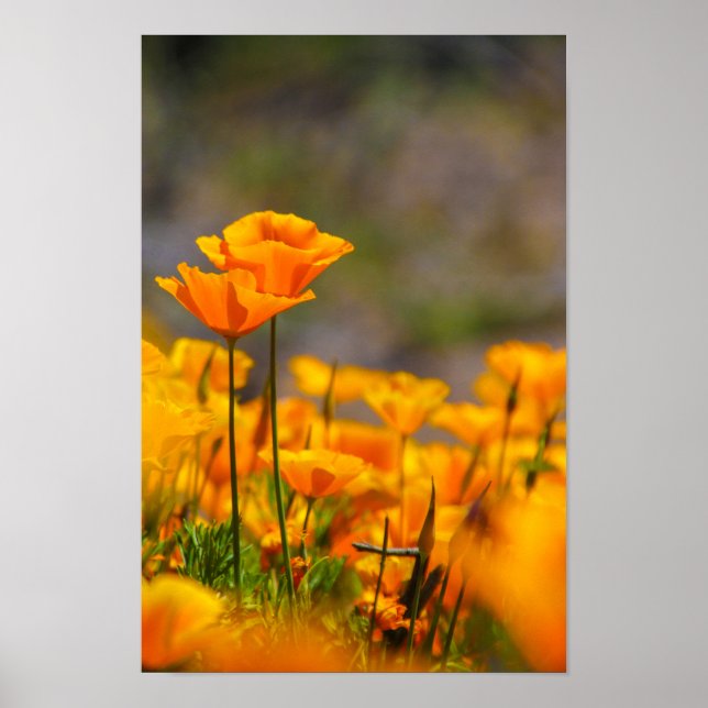 Póster Juntos (Frente)