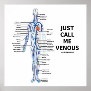 Póster Just Call Me Venous Veins Venous System