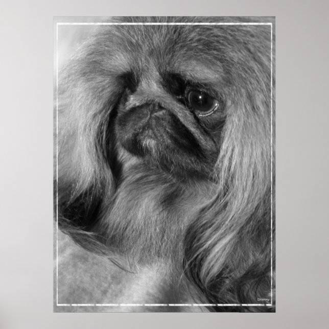 Póster Just Jeroen (Frente)