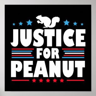 Póster Justicia Para El Cacahuete