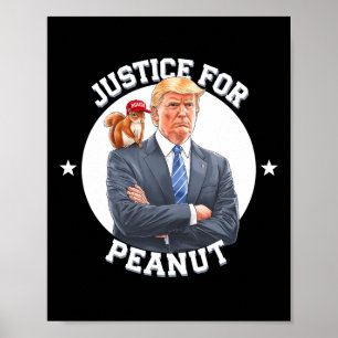 Póster Justicia Para El Maní La Ardilla - Navidades Xmas