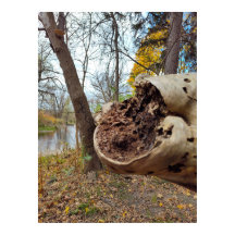 Juxtposición de la decadencia y la vida