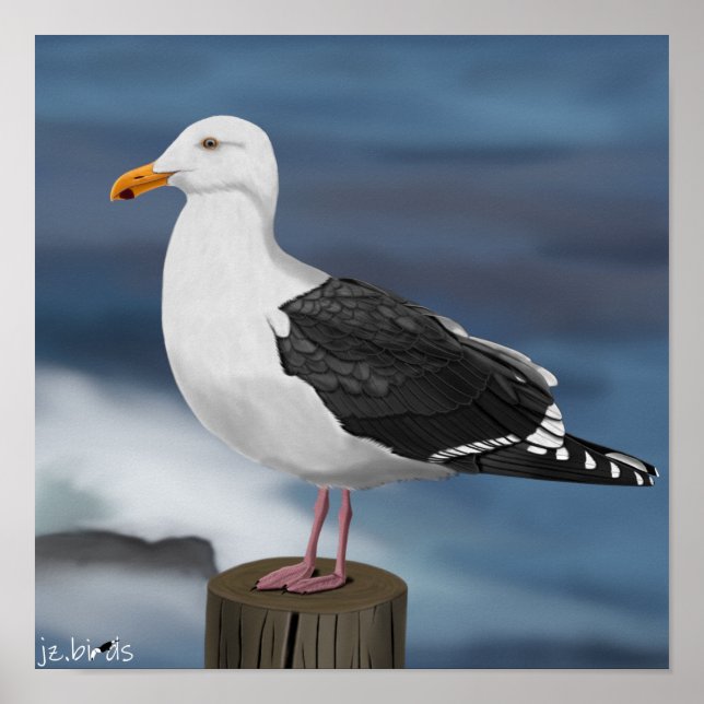 Póster jz.birds Möwe (Frente)