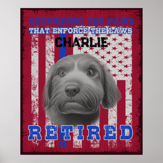 Póster K-9 Veterano trabajando en el perro de agua españo (Frente)