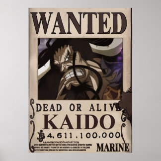 Póster Kaido Wanted Bounty