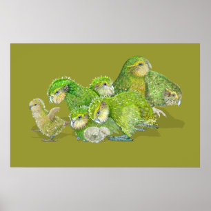 Póster Kakapo Chick Creche