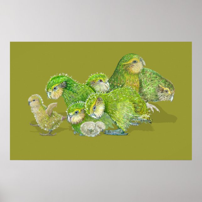 Póster Kakapo Chick Creche (Frente)