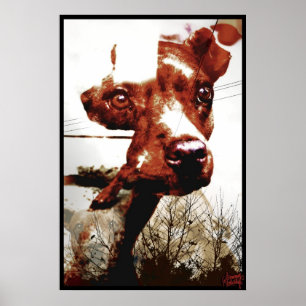 Póster Kali Doggy