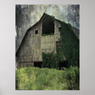 Póster Kalona Barn and Ivy