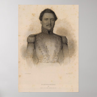 Póster Kamehameha, Hawaii