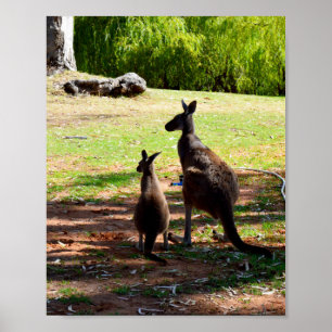 Póster Kangaroo Y Su Joey, Poster