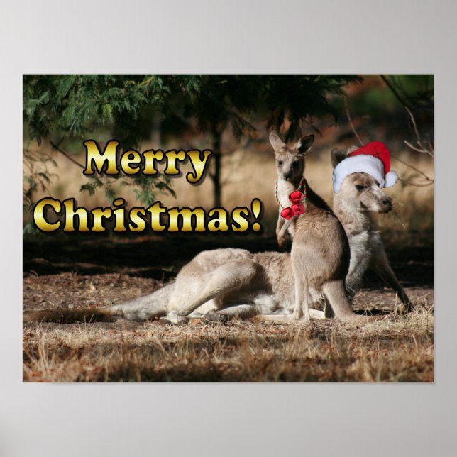 Póster Kangaroos Navidades de estilo australiano (Frente)