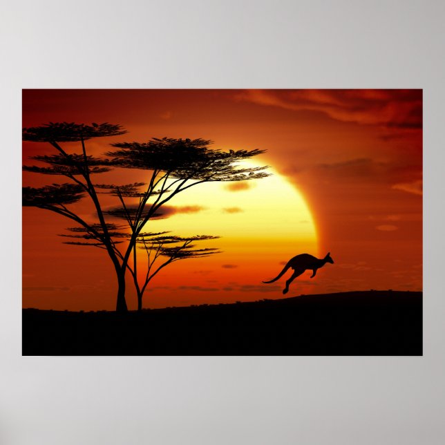 Póster kangoroo at sunset (Frente)