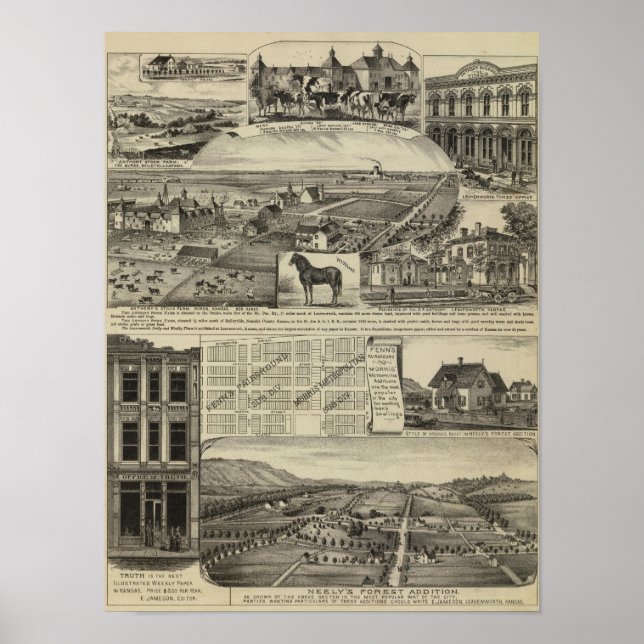 Póster Kansas Farms (Frente)