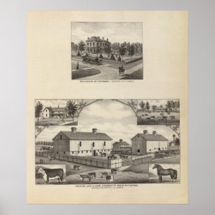 Póster Kansas Live Stock County en Cawker City