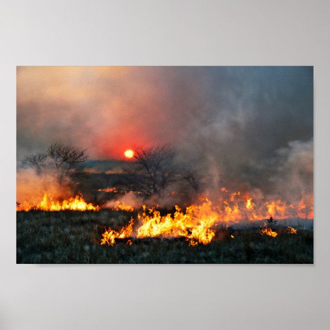 Póster Kansas Prairie se quema al atardecer (Frente)