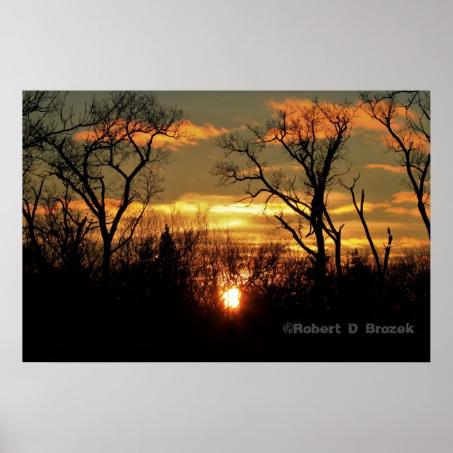 Póster Kansas Sunset with Tree Silhouette, clouds Poster (Frente)