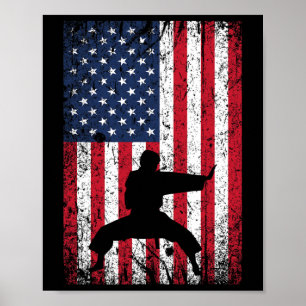 Póster Karate Bandera Americana 4 De Julio Artes Marciale