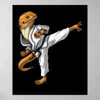 Karate Dragón con las culatas