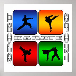 Póster Karate espectacular
