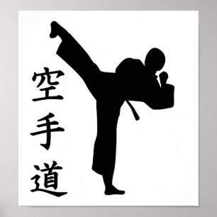 Póster Karate Kung Fu