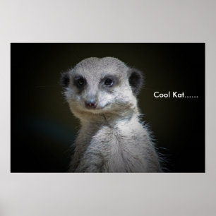 Póster Kat fresco ......