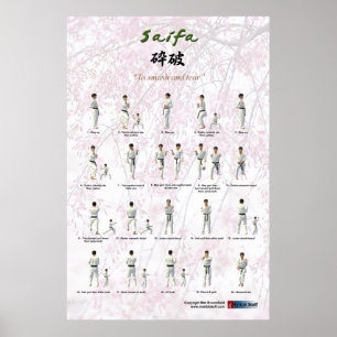 Póster KATA Saifa - versión de GKR