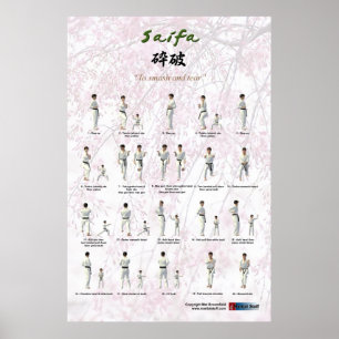 Póster Kata Saifa - Versión Goju Ryu