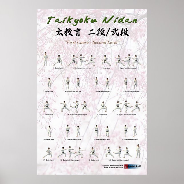 Póster Kata Taikyoku Nidan - 2º kata (Frente)