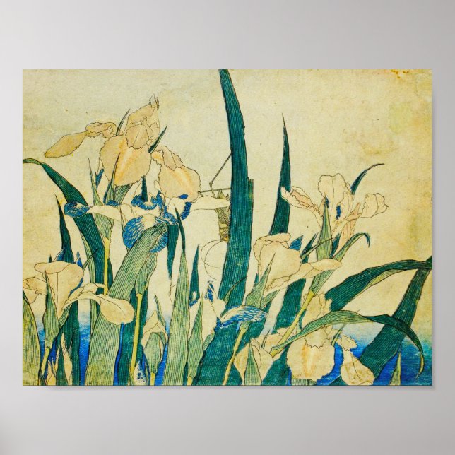 Póster Katsushika Hokusai-Blossoming Irises and Grasshopp (Frente)