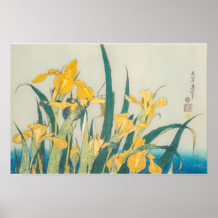Póster Katsushika Hokusai - Grasshopper e Iris