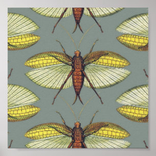 Póster Katydid