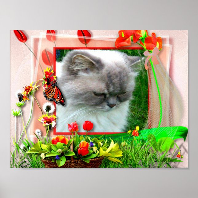 Póster Katze1 für Lilo (Frente)