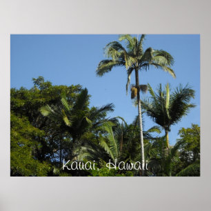Póster Kauai, Hawái