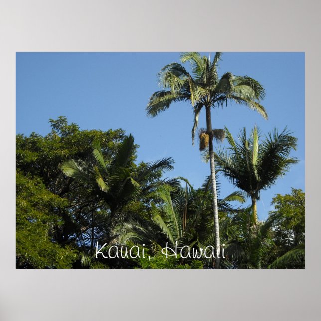 Póster Kauai, Hawái (Frente)