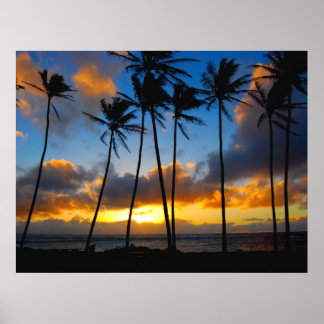 Póster Kauai Sunrise