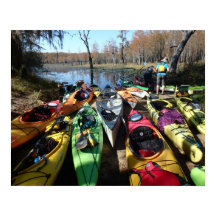 Kayaks coloridos