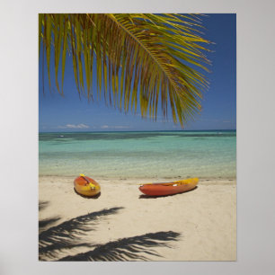 Póster Kayaks en la playa, Plantation Island Resort