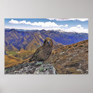 Póster Kea Kountry