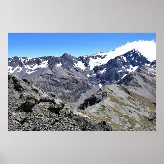 Póster Kea Pair en el pico Avalanche (Frente)