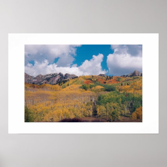 Póster Kebler Pass Fall 2001 (Frente)