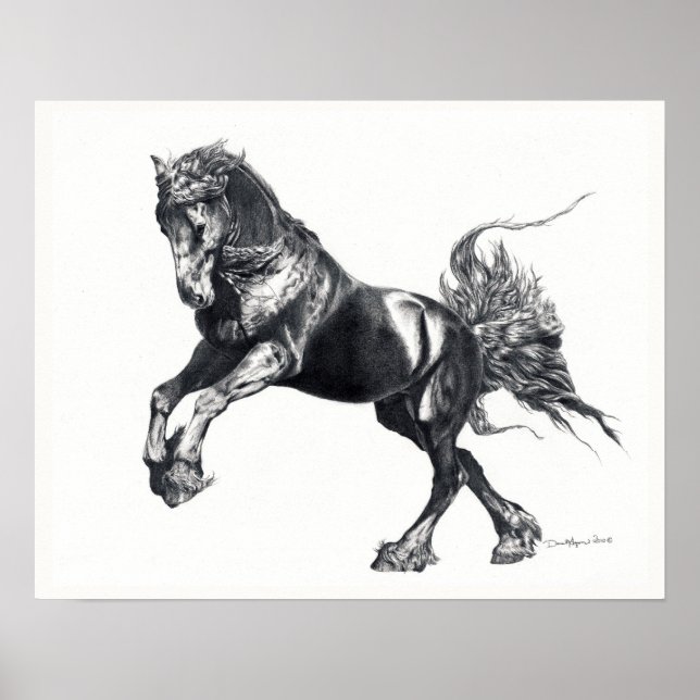 Póster Keegan Jewel Friesian Stallion Poster (Frente)