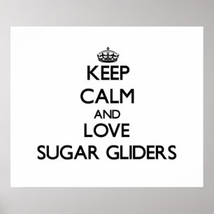 Póster Keep calm and Love Sugar Gliders