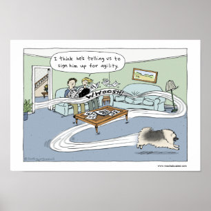 Póster Keeshond "agilidad de la sala de estar "
