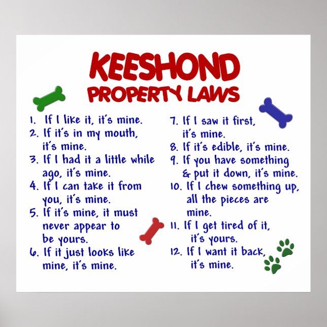 PÓSTER KEESHOND PL2 (Frente)