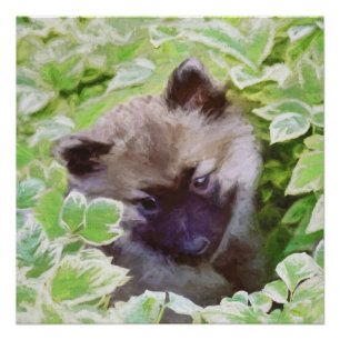 Póster Keeshond Puppy en el jardín pintando arte original