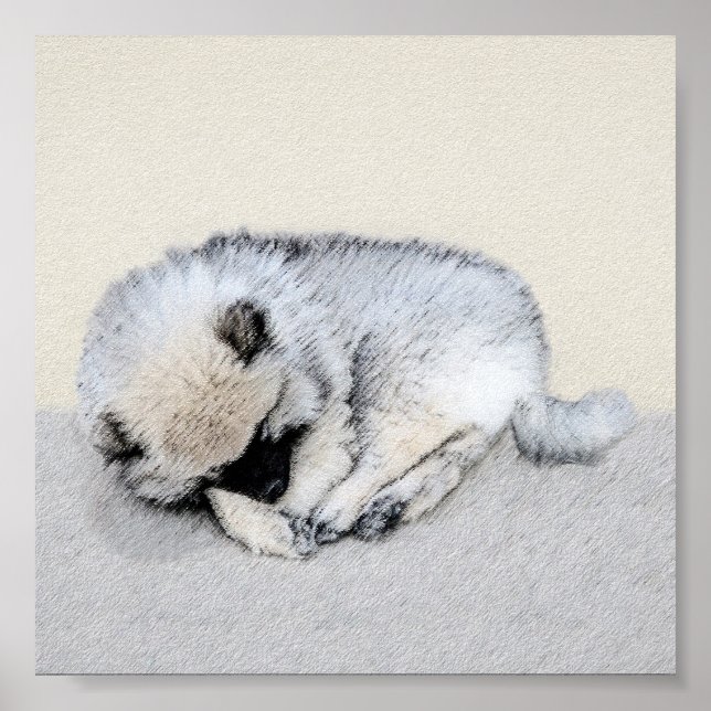 Póster Keeshond Sleeping Pinting Pintura Original De Perr (Frente)