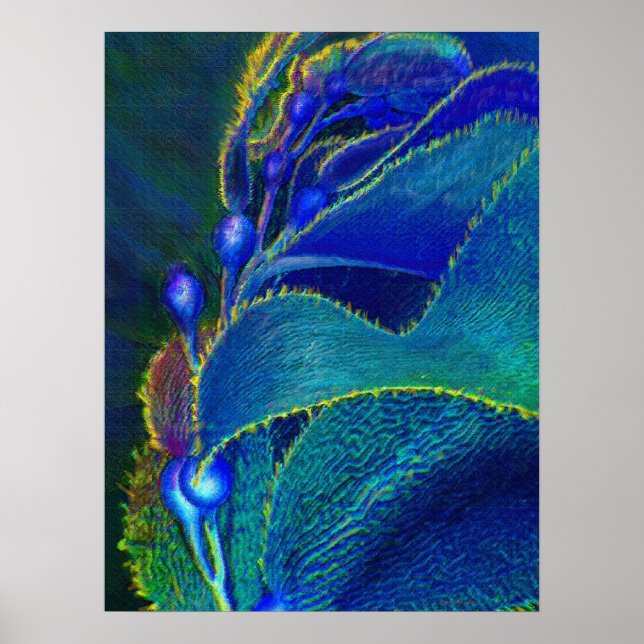 Póster kelp azul (Frente)